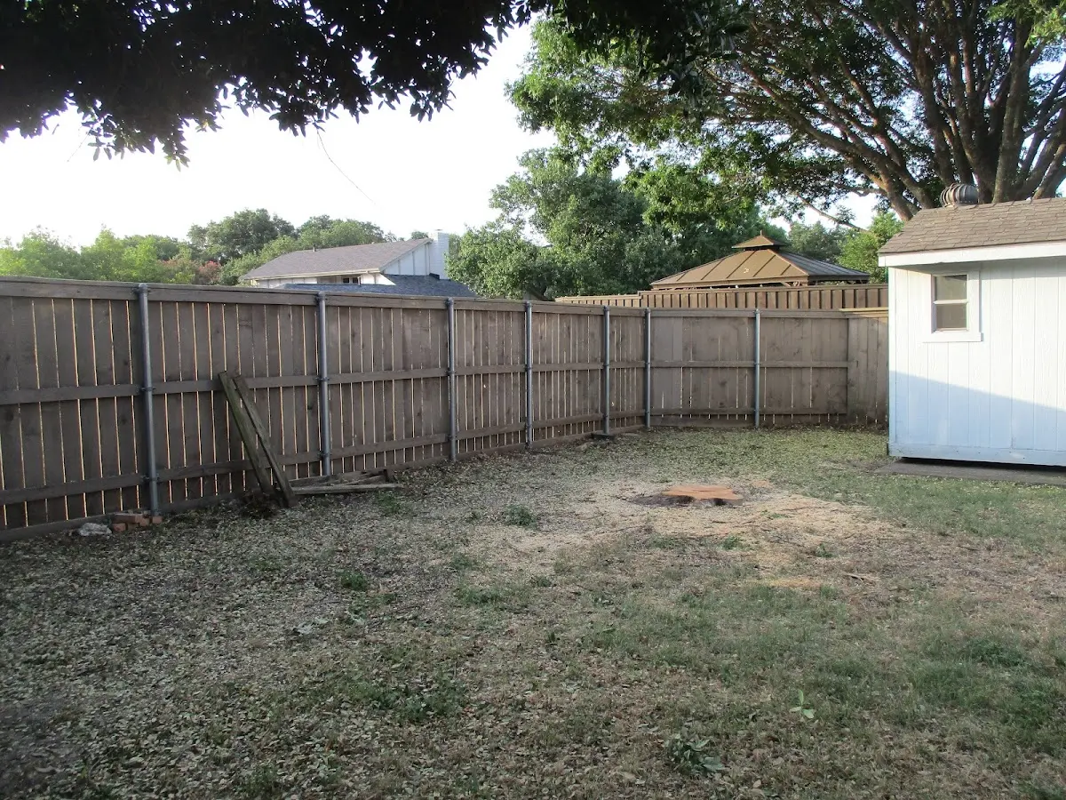 Cleared yard after professional tree removal in Elkins Park